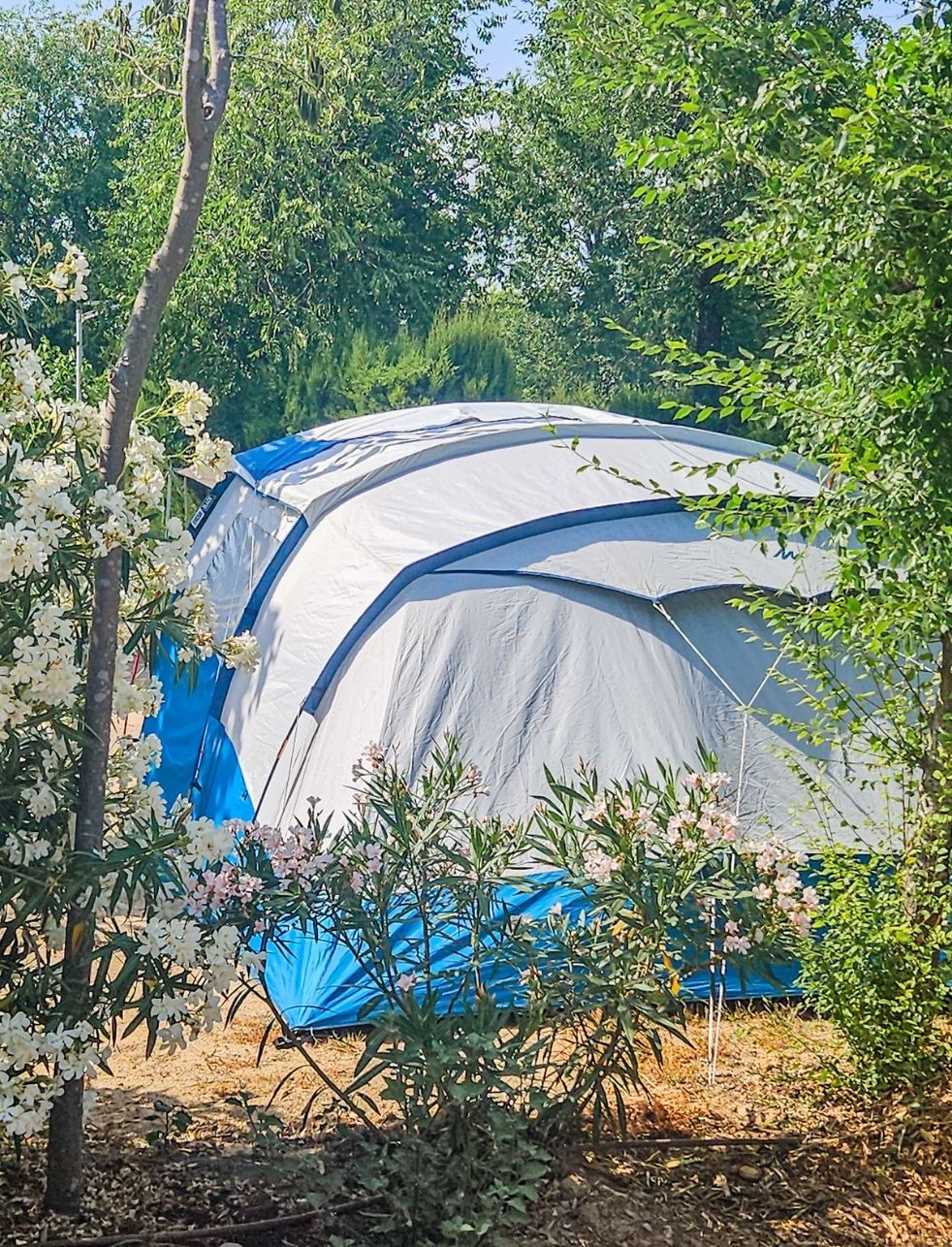 emplacement camping espagne