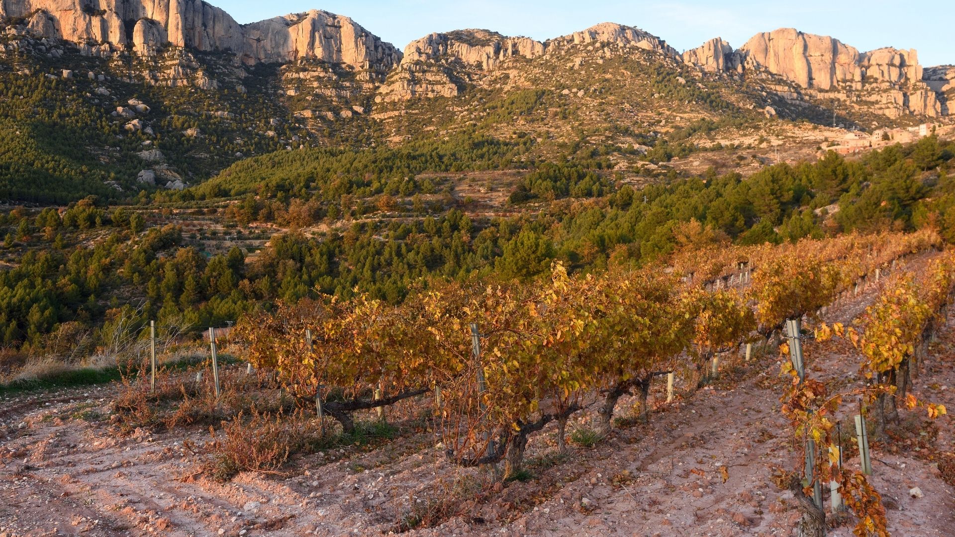 la route des vins espagne