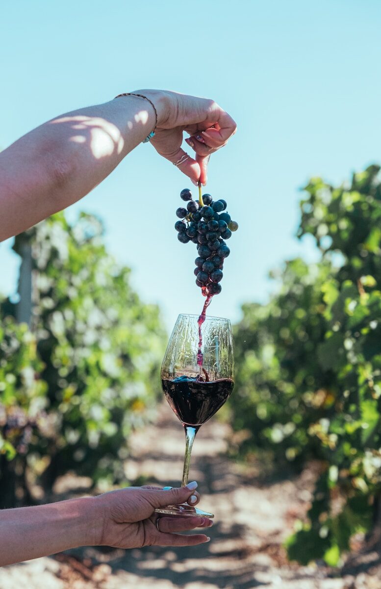 une femme qui tient une grappe de raisin au dessus d'un verre et le raison coule comme s'il se tranformait en vin directement. en fond des vignes