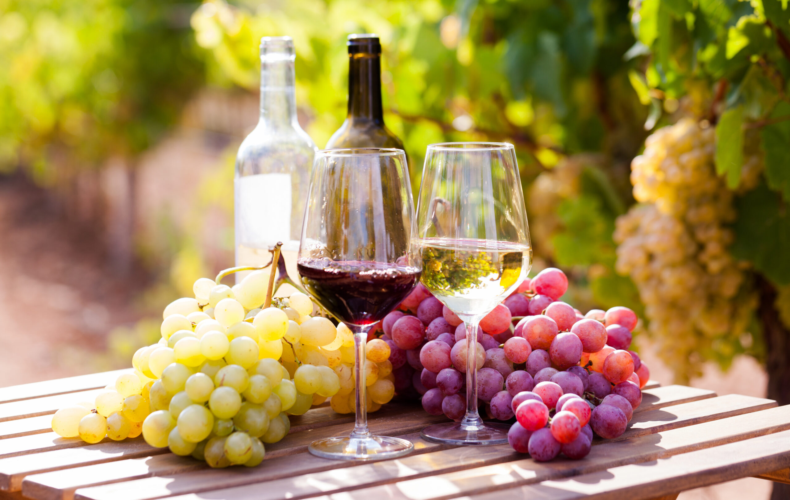 vin d'espagne